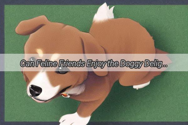 Can Feline Friends Enjoy the Doggy Delights Unveiling the Truth About CatFriendly Dog Sausages